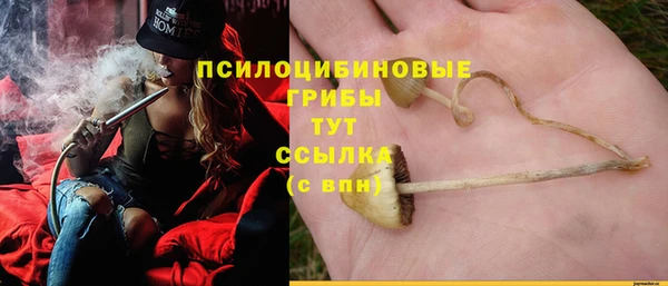 героин Алексин