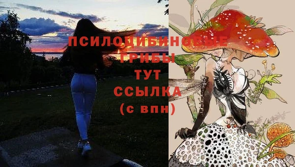 прущие крисы Алзамай