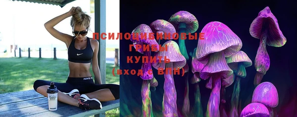 прущие крисы Алзамай