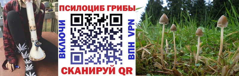 Галлюциногенные грибы Psilocybe  МЕГА сайт  Миньяр 